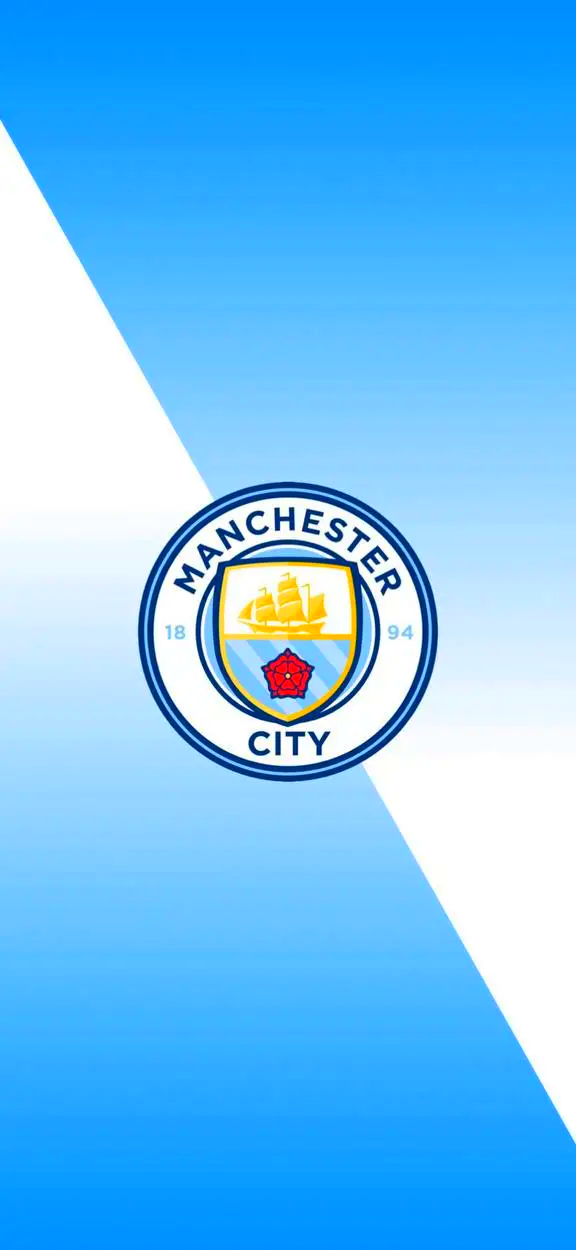 的梯度方案 的梯度方案